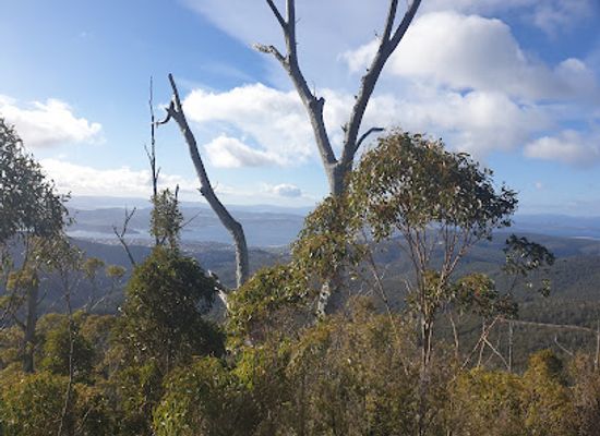 australia/mount-wellington/shop/sphinx-rock-lookout