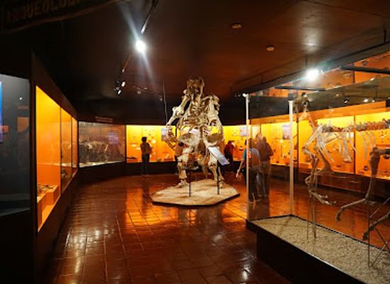 chile/o-higgins-region/shop/colchagua-museum