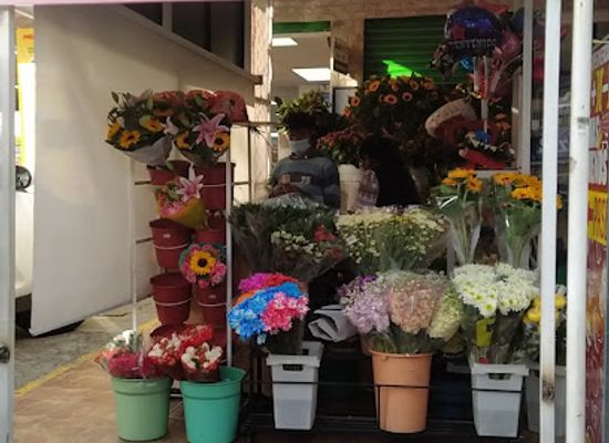 ecuador/quito/la-floresta/shop/regalos-a-domicilio-en-quito