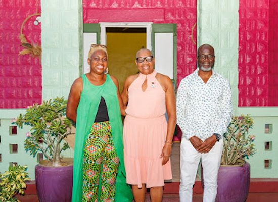 saint-kitts-and-nevis/old-road-town/shop/sugar-apple
