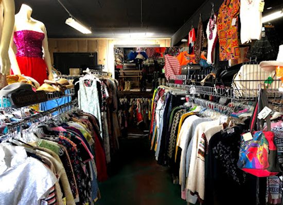 california/silicon-valley/shop/moon-zooom