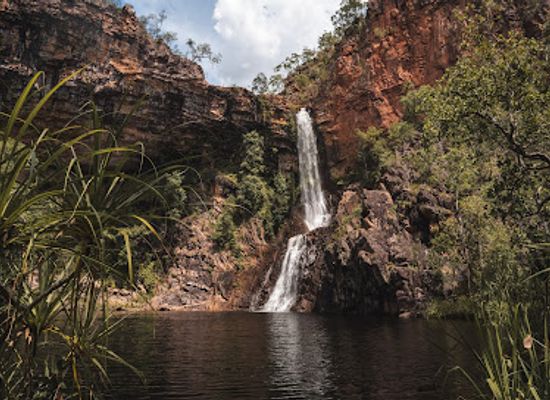 australia/litchfield-national-park/shop/sandy-creek-falls