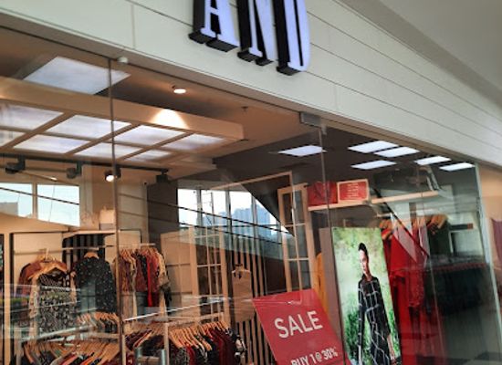 india/rajkot/shop/and-dr-yagnik-road