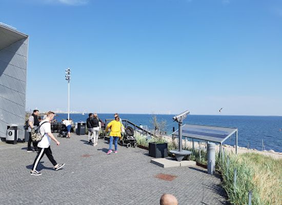 denmark/the-north-sea-islands/attraction/national-aquarium-denmark