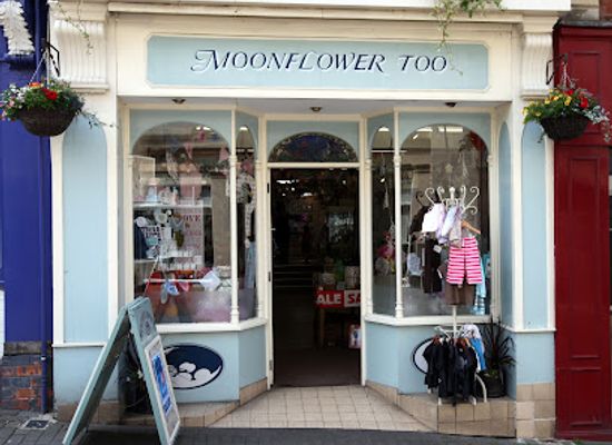 united-kingdom/gloucestershire/shop/moonflower-too