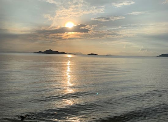 cambodia/kep/shop/wing-kep