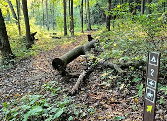 ohio/central-ohio/shop/mohican-state-park-backpack-campsite-2