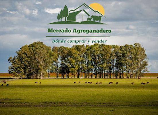 uruguay/cuchilla-grande/shop/mercado-agroganadero