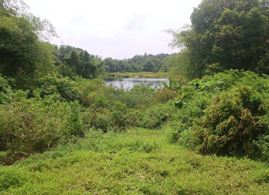 singapore/pulau-ubin/shop/butterfly-hill