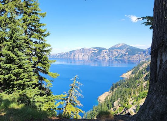 oregon/crater-lake-national-park/shop/castle-crest-wildflower-trail