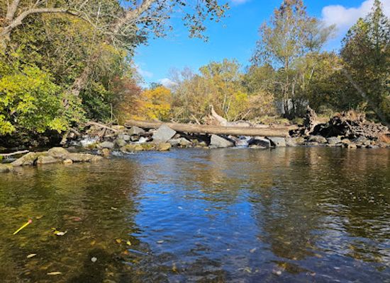 delaware/white-clay-creek-state-park/shop/white-clay-creek-state-park-wedgewood-road