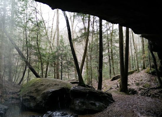 alabama/sipsey-wilderness/shop/sipsey-river-picnic-area