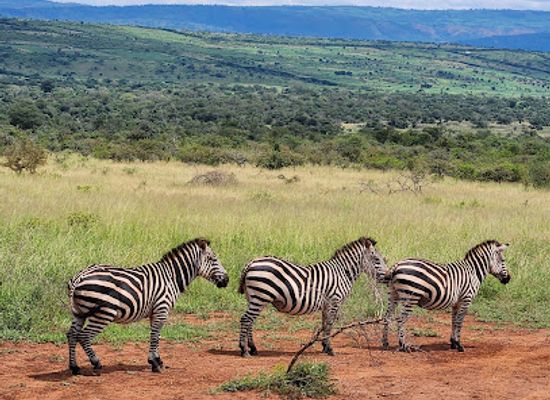 rwanda/akagera-national-park/shop/akagera-community-centre