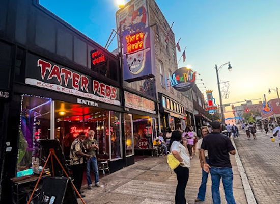 tennessee/memphis/south-main-arts-district/shop/walking-pants-curiosities