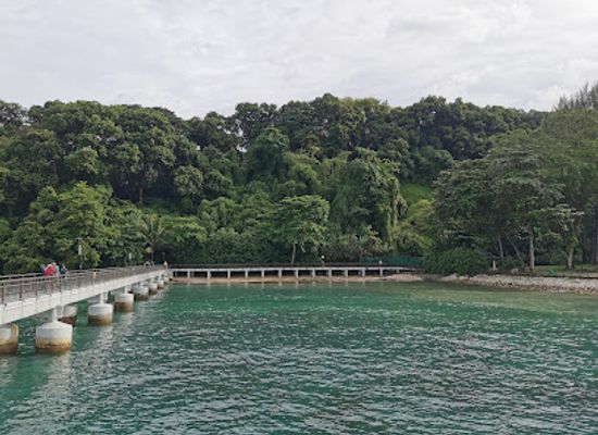 singapore/labrador-nature-reserve/shop/labrador-nature-reserve