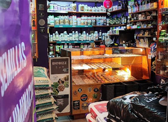 chile/valparaiso/shop/seedcodelia-grow-shop-valparaiso