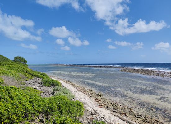 belize/glover-s-reef-atoll/shop/glover-s-reef-research-station