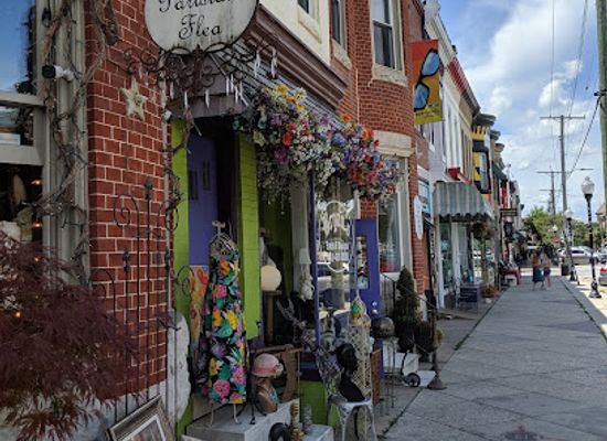 maryland/baltimore/shop/the-parisian-flea