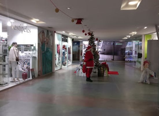 portugal/beira-litoral/shop/galerias-jardins-do-lis