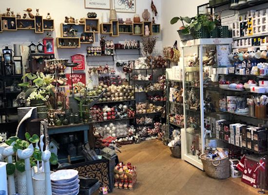 denmark/copenhagen-region/shop/zane