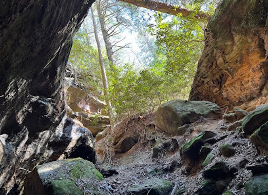 kentucky/red-river-gorge-geological-area/shop/red-river-gorge