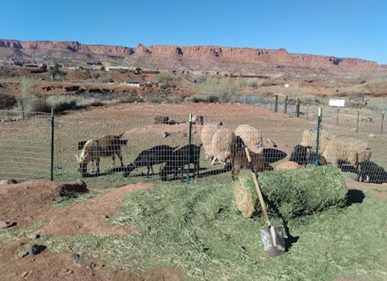 utah/capitol-reef-national-park/shop/petrous