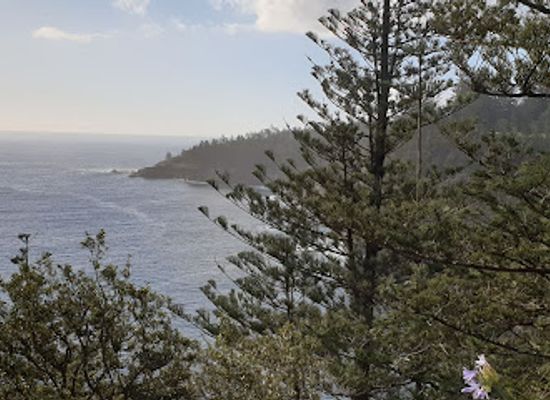 norfolk-island/point-ross/shop/point-ross-reserve