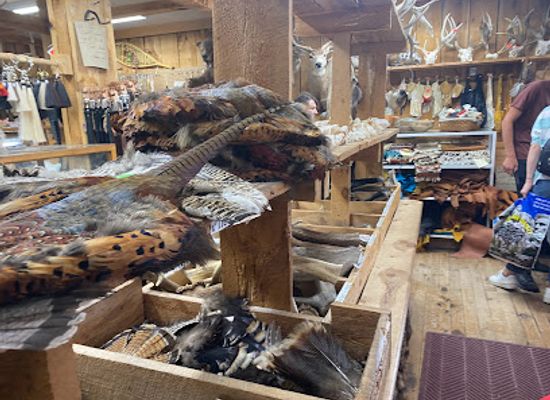 south-dakota/crazy-horse-memorial/shop/claw-antler-hide-co