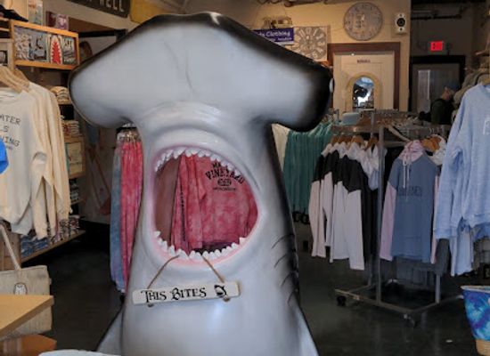 massachusetts/martha-s-vineyard/shop/soft-as-a-grape