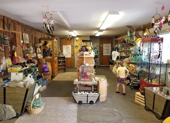 massachusetts/franklin-county/shop/rock-fossil-dinosaur-shop