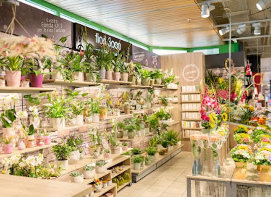 switzerland/ascona/shop/fiori-3000-ascona