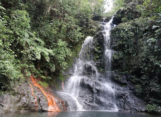 belize/cockscomb-basin-wildlife-sanctuary/shop/cockscomb-basin-wildlife-sanctuary