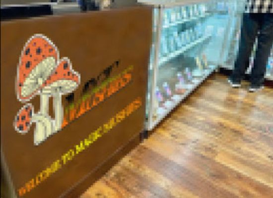 canada/iqaluit/shop/magic-mushroom