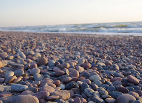 lithuania/lithuanian-seaside/shop/terra-recognita