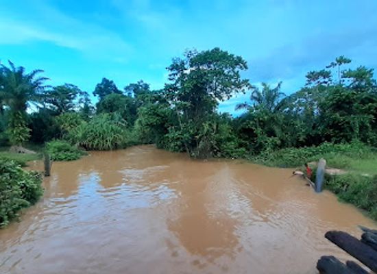 papua-new-guinea/fly-river-basin/shop/fly-river