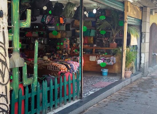 mexico/western-mexico/shop/cactus-store