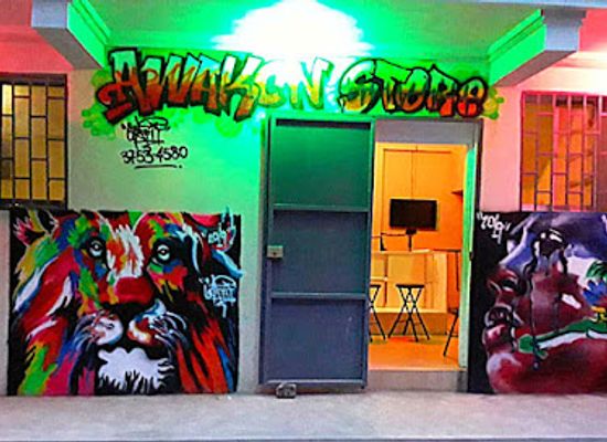 haiti/labadee/shop/awaken-store