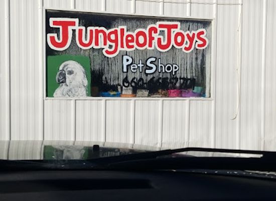 missouri/kirksville/shop/jungle-of-joys-pet-shop