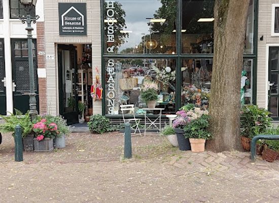 netherlands/rotterdam/shop/rotterdam