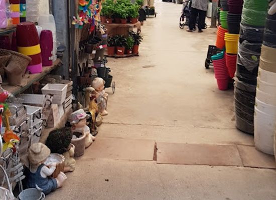 israel/galilee/shop/galilee-plants-garden-center