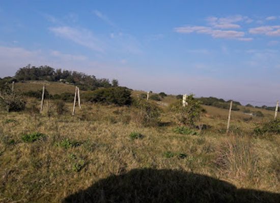 uruguay/sierras-de-carape/shop/establecimiento-las-palmeras