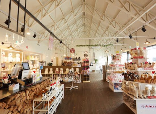 south-korea/gangwon-province/shop/alpaca-world