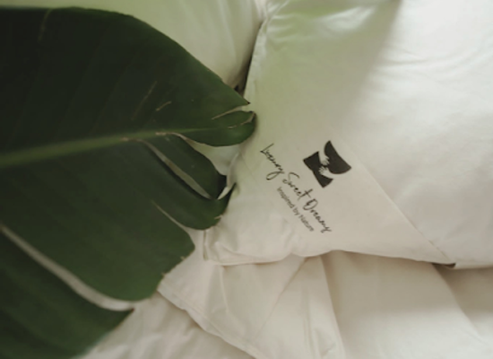 poland/spisz/shop/luxury-sweet-dreams-producent-koldry-i-poduszki-z-puchu-i-pierza