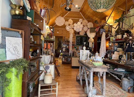 west-virginia/elkins/shop/the-mossy-merchant