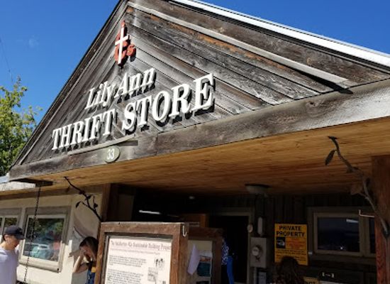 canada/haliburton-highlands/shop/lily-ann-thrift-store