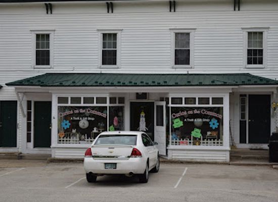 new-hampshire/southern-new-hampshire/shop/curio-s-on-the-common