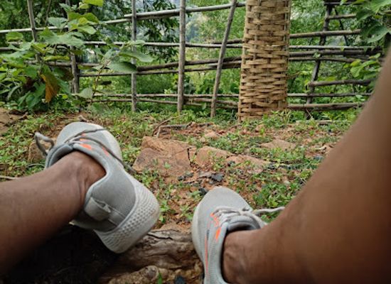 india/satpura-range/shop/satpura-jungle-safari