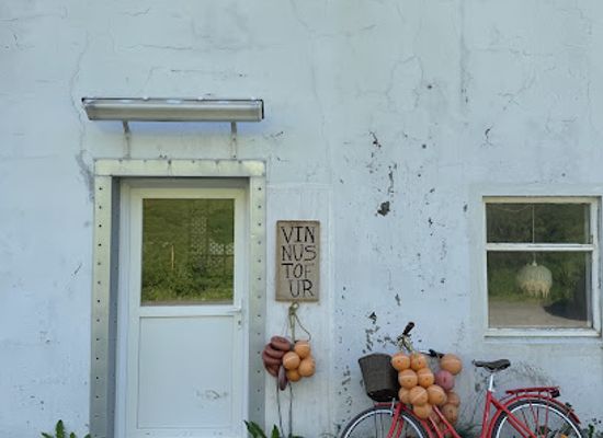 iceland/westfjords/shop/blomahornio-blomaskreytingarbjonusta