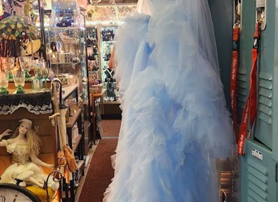 nevada/las-vegas/shop/vintage-mesh-and-lace-clothing