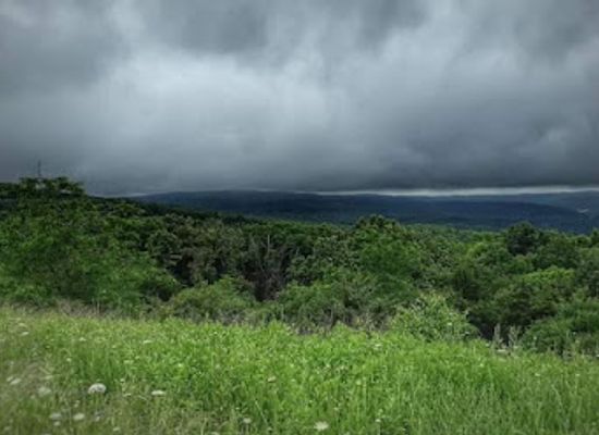arkansas/devil-s-den-state-park/shop/backwoods-beer-goods